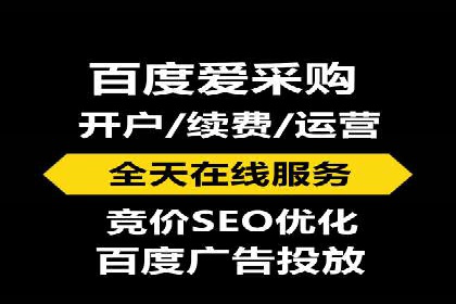 百度SEO推广策略案例：一家公司的成功转型之路